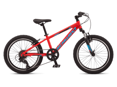 Schwinn giant online