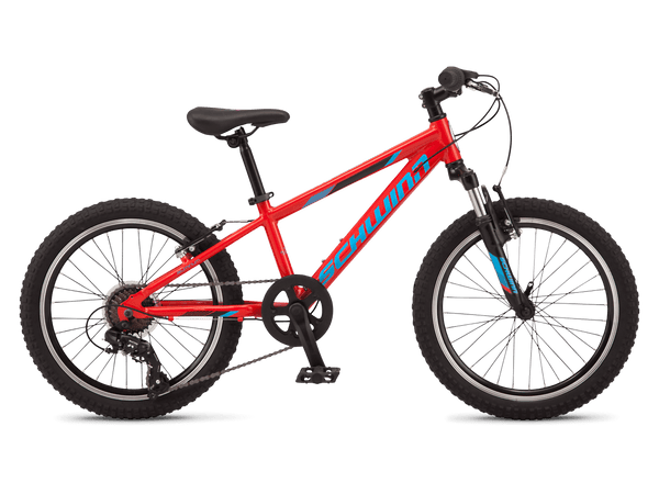 Kids Mountain Schwinn