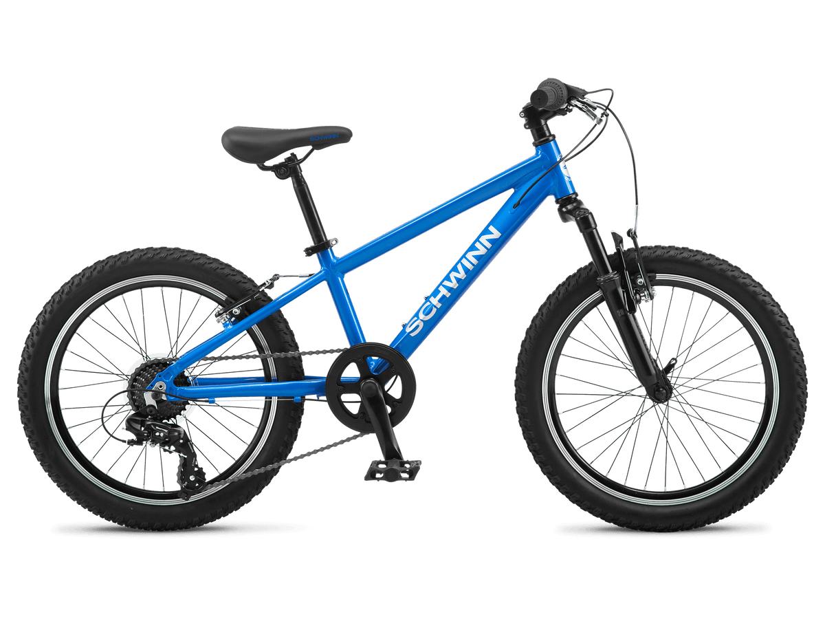 Schwinn fat bike online