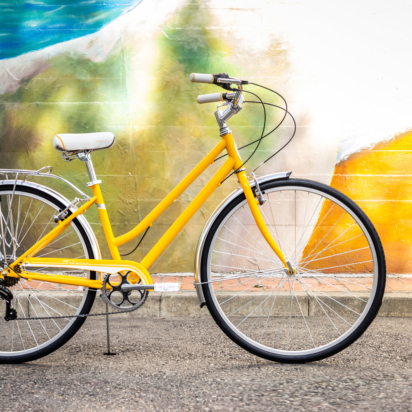 Types of schwinn online bikes