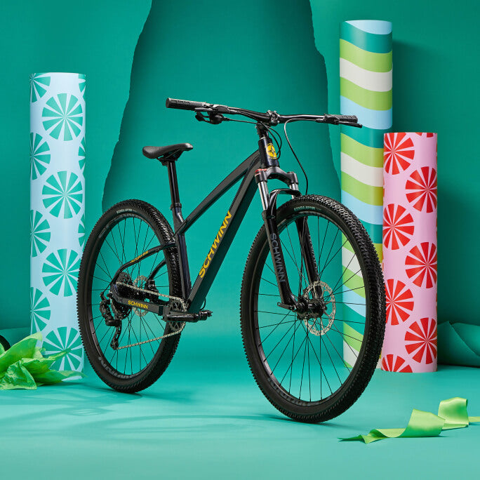 Mountain Bikes, Road Bikes, E-Bikes, and More | Schwinn