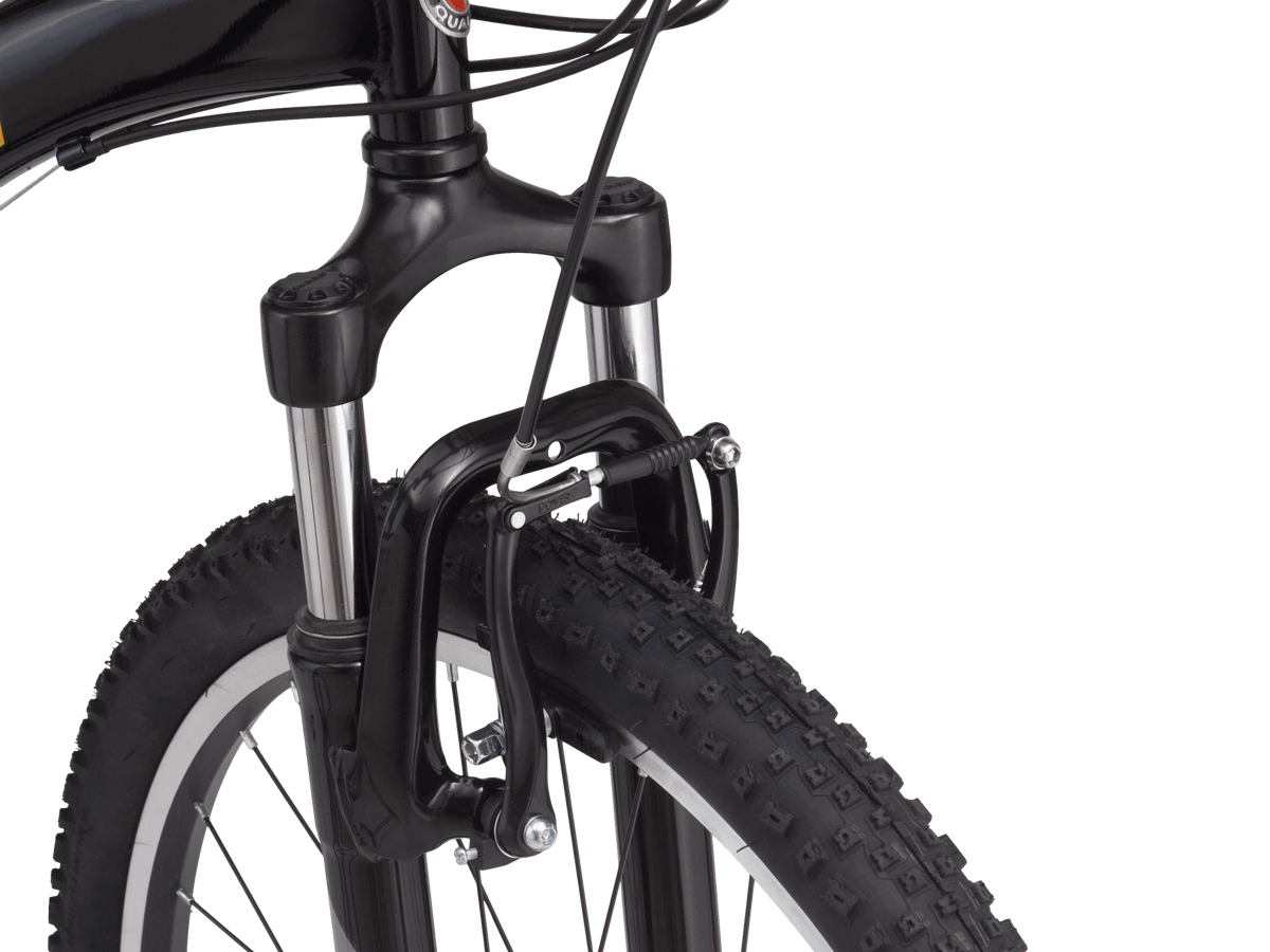 Schwinn s3029b best sale